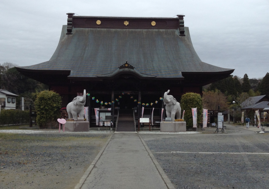 長生郡長南町という場所には、幸せを呼ぶ象がいる面白い寺院があるんだとか！！